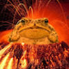 frogeatbug